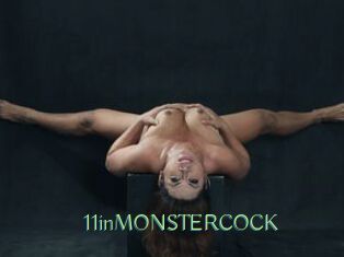 11inMONSTERCOCK