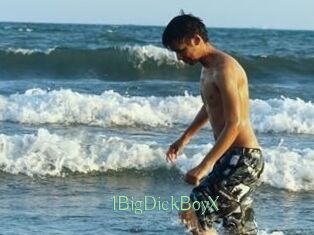 1BigDickBoyX