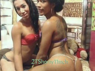 2TShorny11inch