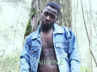 AUSTIN_E