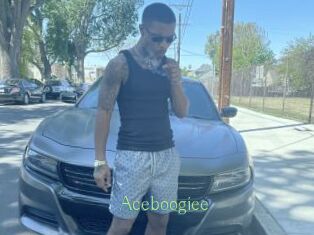 Aceboogiee