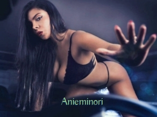 Anieminori