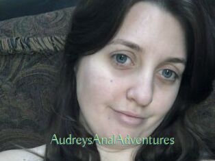 AudreysAnalAdventures