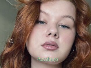 Accabuys