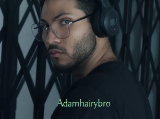 adamhairybro Motion X