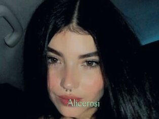 Alicerosi