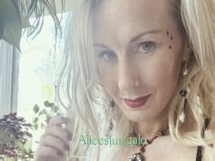 Alicesjungalo