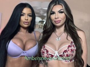 Ambersnowsredroom