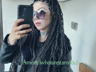 Amodelwhoisnotamodel