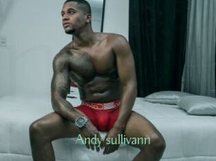 Andy_sullivann