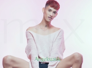 Angelozaide