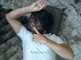 anthonyding Motion X