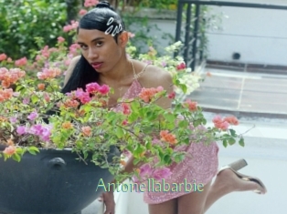 Antonellabarbie
