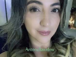 Antonellawidow