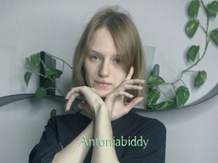 Antoniabiddy