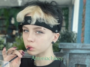 Antoniachasey