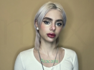 Aracaris