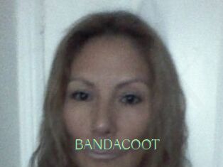 BANDACOOT