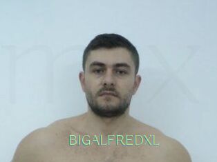 BIGALFREDXL