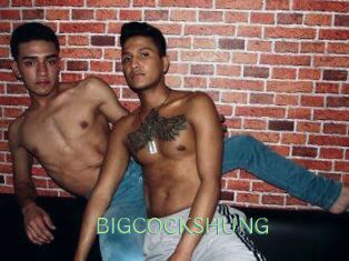 BIG_COCKS_HUNG