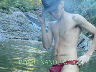 BOYALEXANDERCOCK