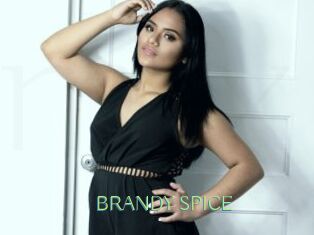 BRANDY_SPICE