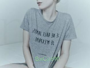 BatCat690