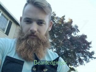 Beardedginger