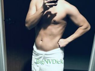 BigNVDick