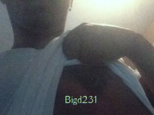Bigd231