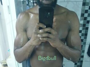 Bigdbull