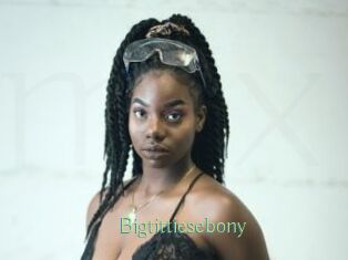 Bigtittiesebony