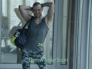 BjornVanderStein