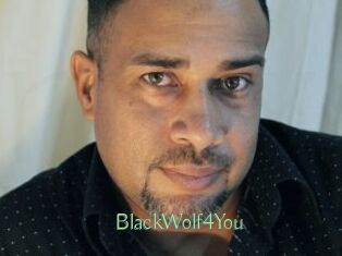 BlackWolf4You