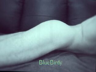 BlueBirdy