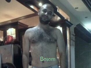 Bosom
