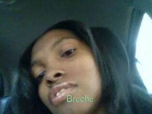 Breche