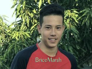 BriceMarsh