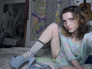 BrieHoney