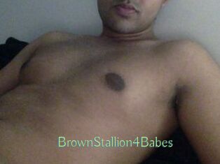 BrownStallion4Babes