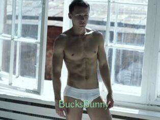 BucksBunny