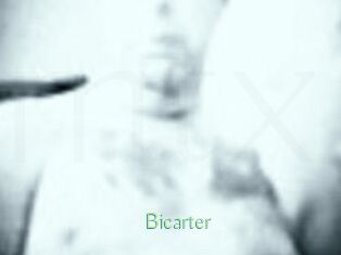Bicarter