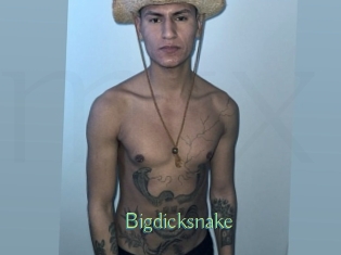 bigdicksnake Motion X