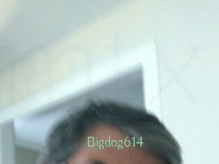 Bigdog614