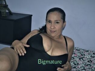 Bigmature