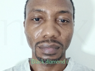 black_diamond_t Motion X