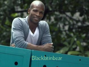 Blacklatinbear