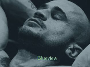 Blueview