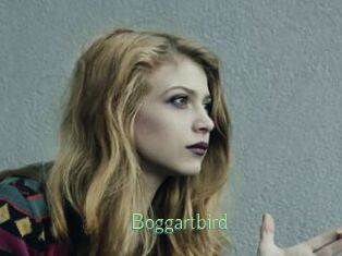 Boggartbird