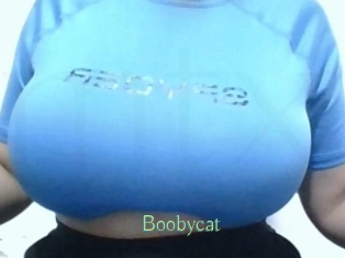 Boobycat